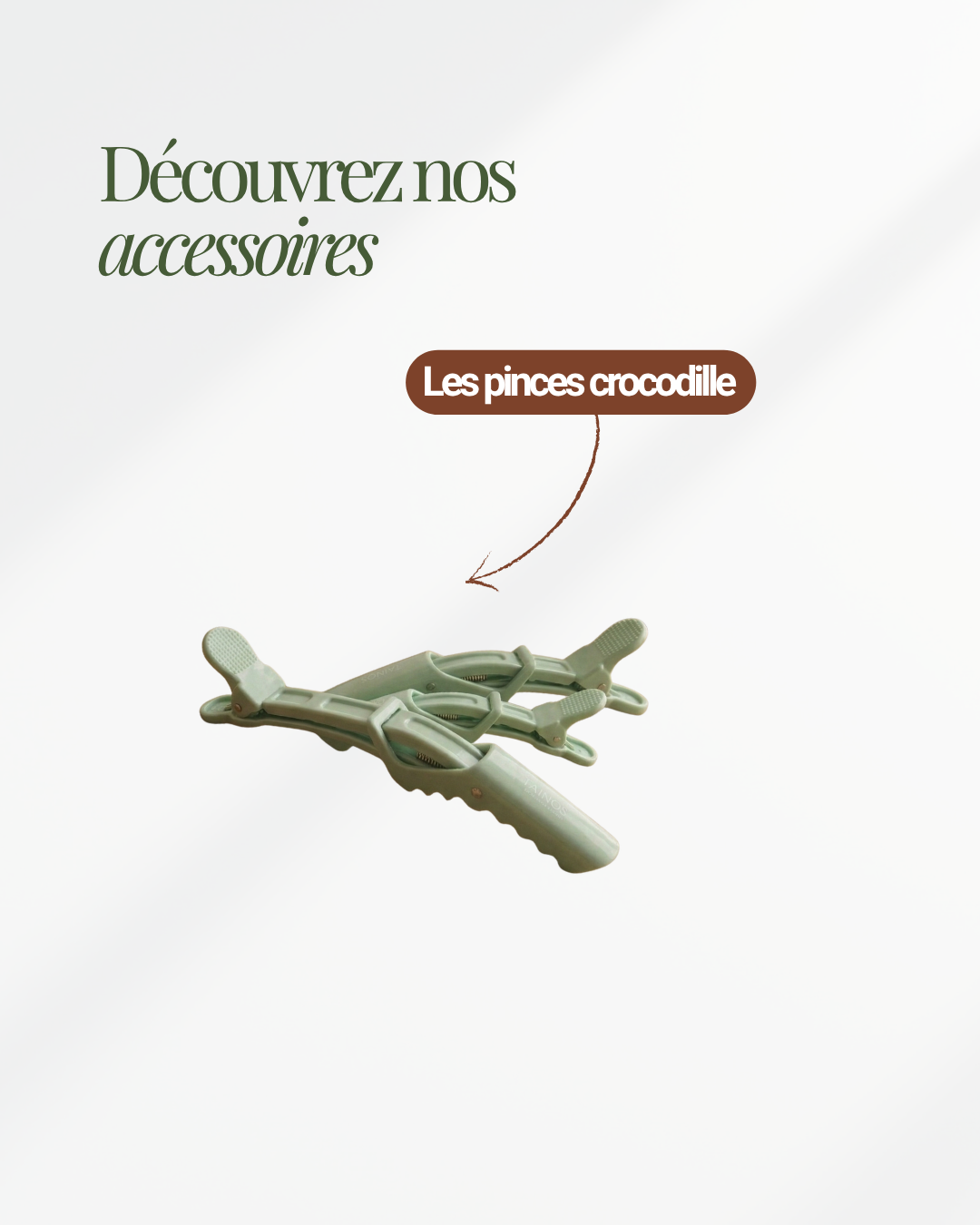 Pinces crocodile